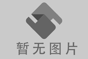 官宣：阿维塔 11 单电机版3月24日上市